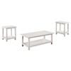 Payne 710558-S3A 3-piece Coffee and End Table Set - Distressed White image 4