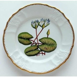 Anna Weatherley Seascape Waterlily Salad Plate (Plates - Salad)