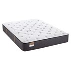 Sealy Etherial Gold Plush Tight Top Mattress (Twin)