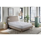 Corsicana Bedding RR20408 Medium Firm Mattress (Twin)