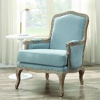 Elements International Artesia UAZ547100G Arm Chair - Midtown Light Blue