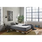 Sleep Inc 10