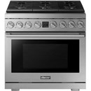 Dacor DOP36P86GLS