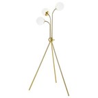 Coaster Furniture Miley 920293 66-inch Spherical Bulb Tripod Tree Floor Lamp - Gold