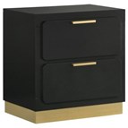Coaster Furniture Caraway 224782 2-Drawer Nightstand - Black