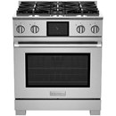 BlueStar BSDF304BWPLT