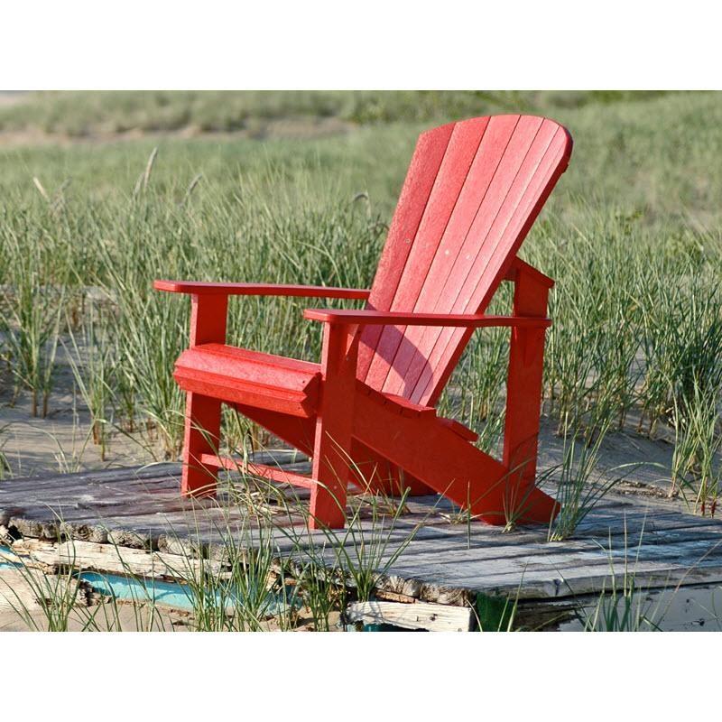 Generation C01-14 Adirondack - Black image 3