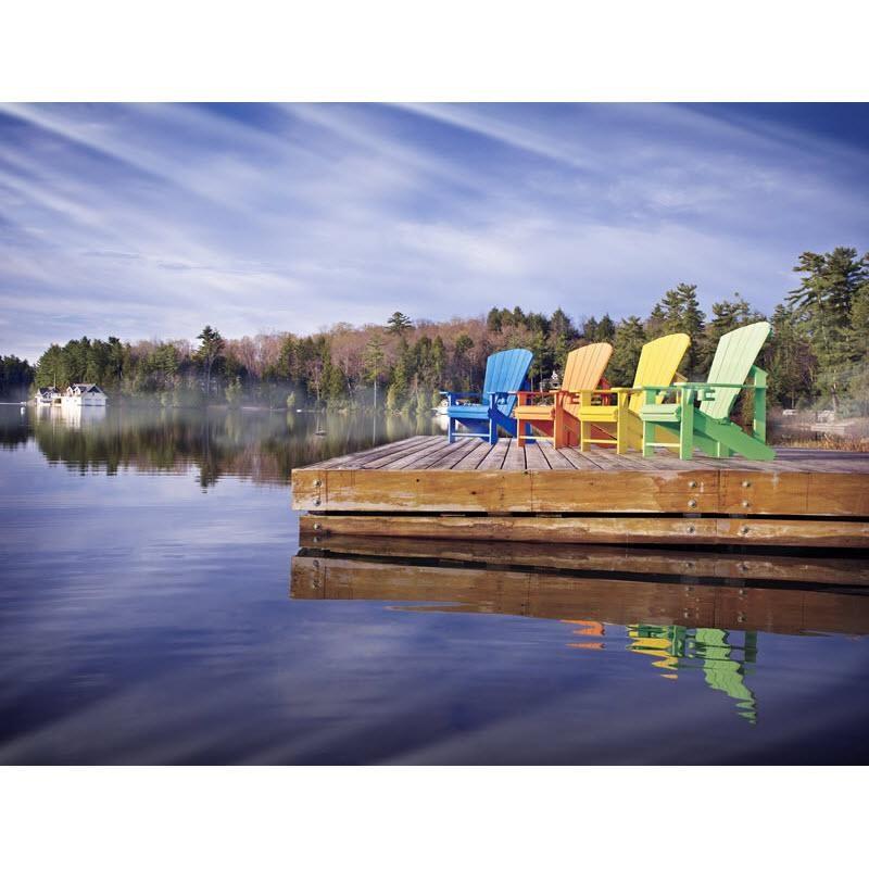 Generation C01-14 Adirondack - Black image 5