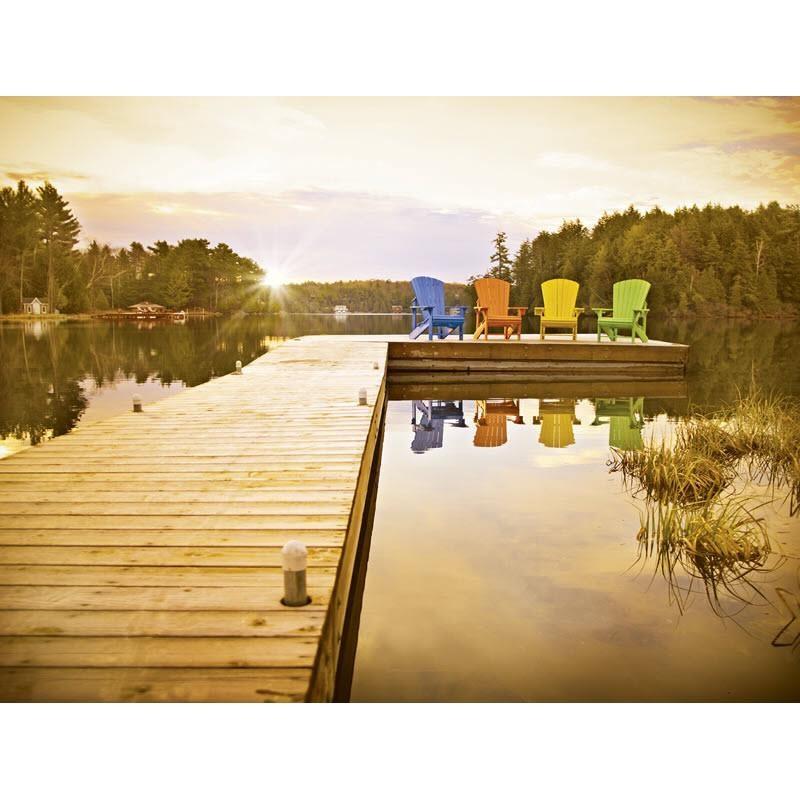 Generation C01-14 Adirondack - Black image 6