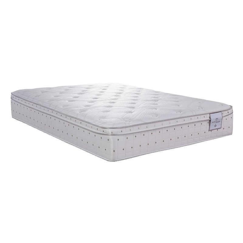 Large Picture of Serta Oakwild Firm Eurotop (Queen)