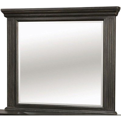 Furniture of America Roisin CM7578M Mirror