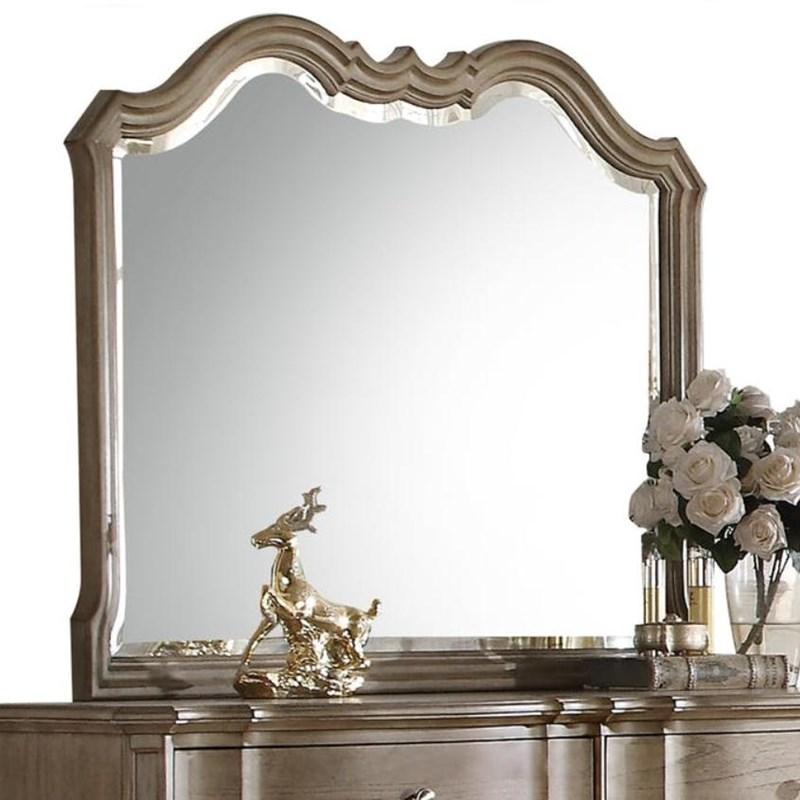 Acme Furniture Chelmsford 26054 Mirror