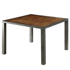 Furniture of America Jazlyn II CM3686PT Counter Height Table