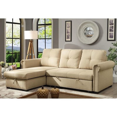 Furniture of America Carter CM6569 Sleeper Sectional