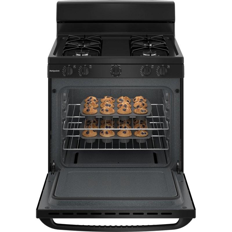 Large Picture of Hotpoint RGBS300DMBB