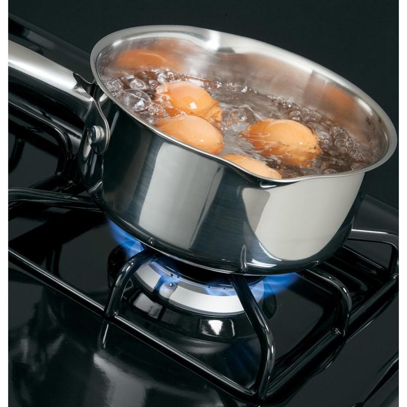 Large Picture of Hotpoint RGBS300DMBB