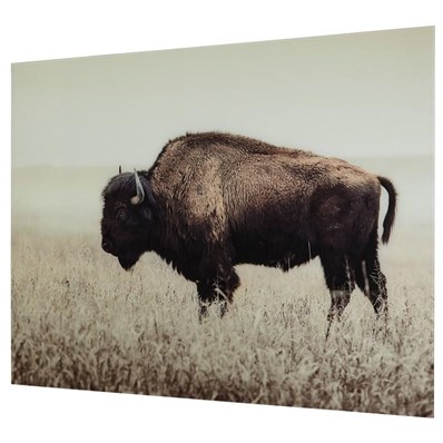 Signature Design by Ashley Brutus A8000289 Wall Art