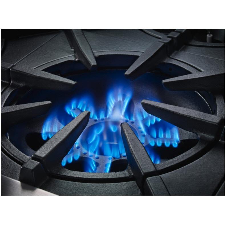 Large Picture of BlueStar BSPRT244BLPLT