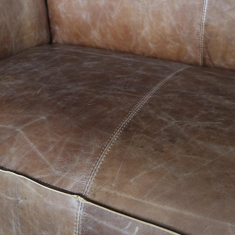 Large Picture of Acme Furniture Brancaster 53545 Sofa