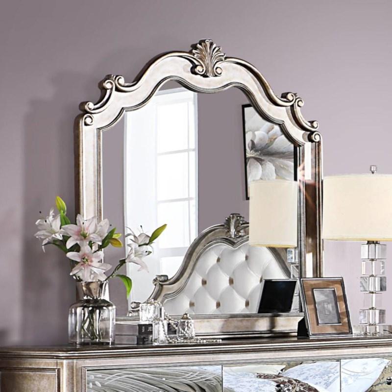 Acme Furniture Esteban 22204 Mirror