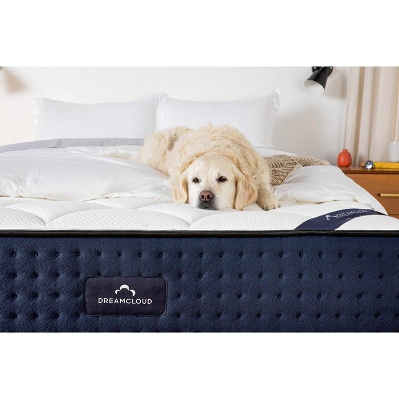Large Picture of Dream Cloud DreamCloud Tight Top Mattress (Queen)