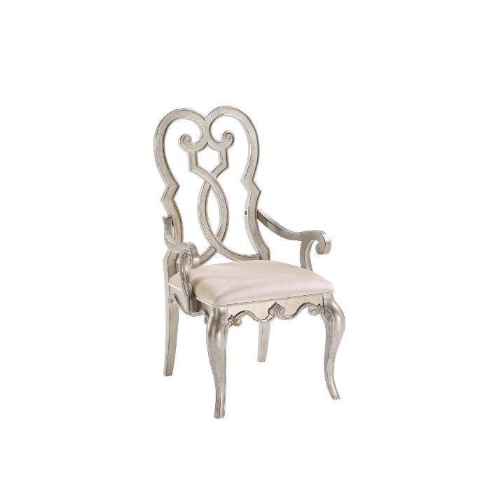 Acme Furniture Esteban 62203