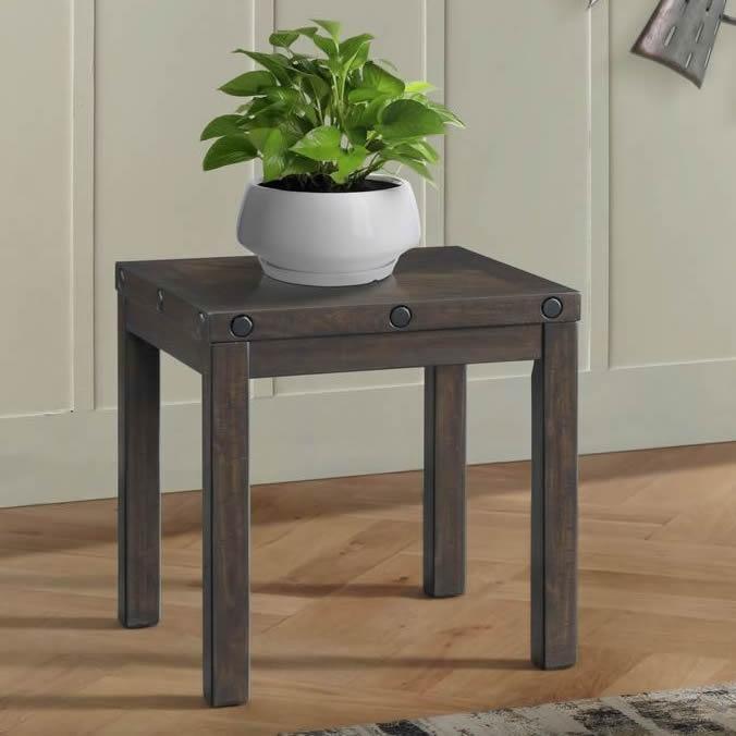 Elements International Colorado TCO100ETP End Table w/USB