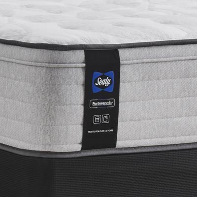 Large Picture of Sealy Diggens Soft Faux Euro Top Mattress Set (Queen)
