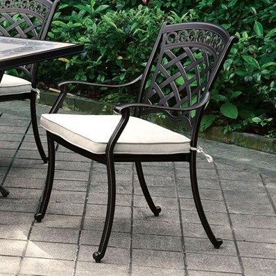 Furniture of America Charissa CM-OT2125-AC-2PK Arm Chair