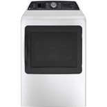 GE Profile PTD70EBSTWS
