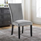 Furniture of America Kian CM3744GY-SC-2PK Side Chair (2/Ctn)