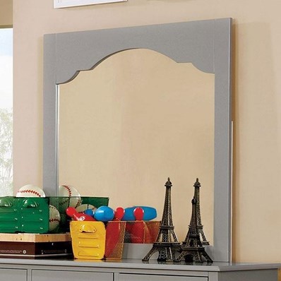 Furniture of America Diane CM7158GY-M-VN Mirror