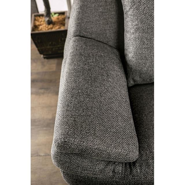 Large Picture of Furniture of America Sarnen EM6721DG-LV Loveseat