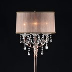 Furniture of America Cecelia L95126F Floor Lamp