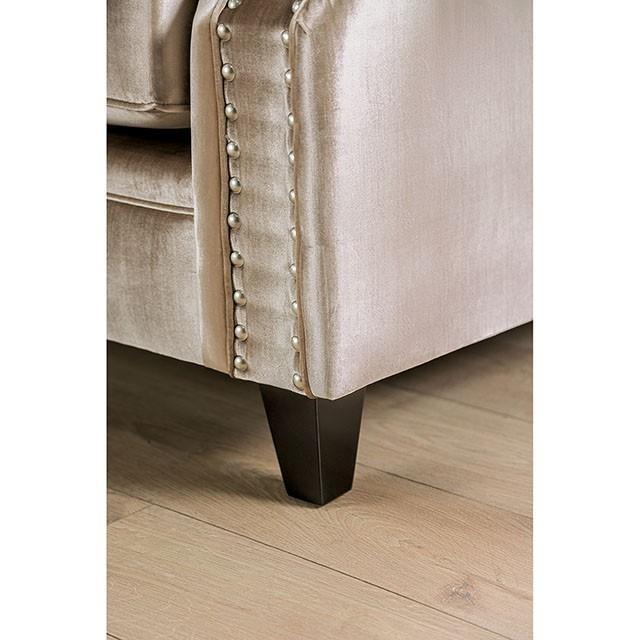Large Picture of Furniture of America Elicia SM2685-LV Love Seat