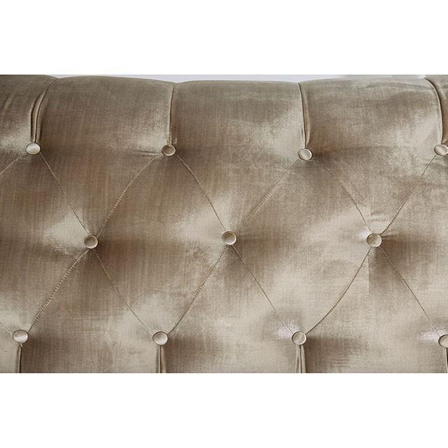 Large Picture of Furniture of America Elicia SM2685-LV Love Seat