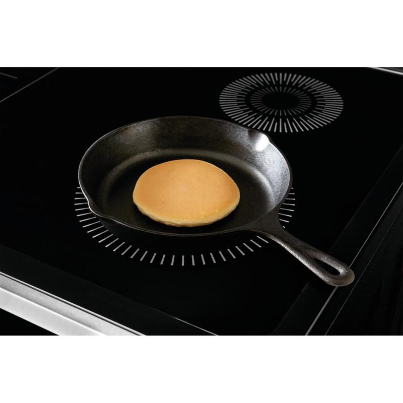 Large Picture of Frigidaire FCFI308CAS