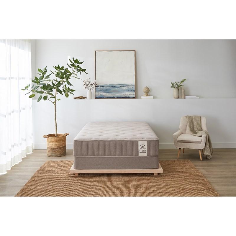 Large Picture of Serta Wheat Firm Tight Top Mattress Set (King)