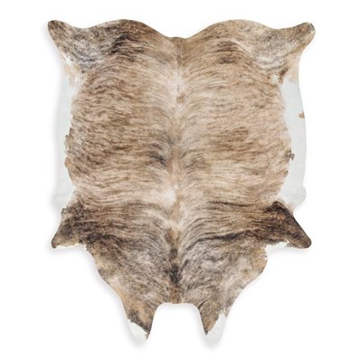 Signature Design by Ashley Sportsmen R406012 Medium Rug