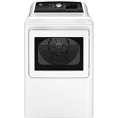 GE GTD58GBSVWS