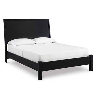Signature Design by Ashley Danziar B1013B5 Queen Panel Bed