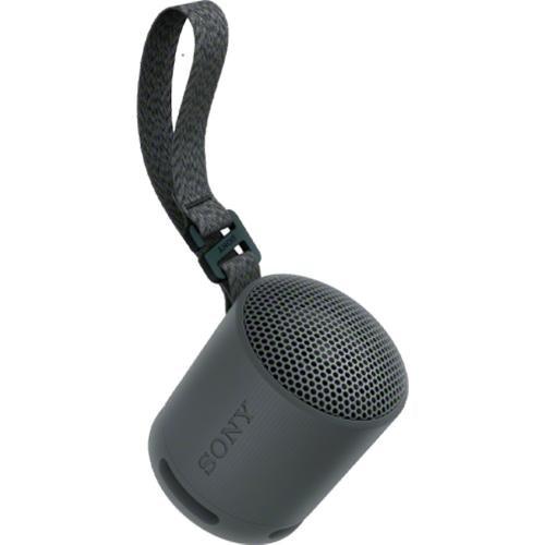 Large Picture of Sony SRSXB100B