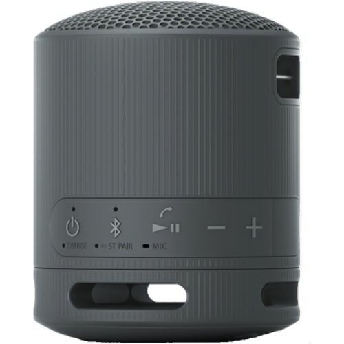 Large Picture of Sony SRSXB100B