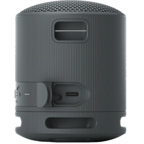 Large Picture of Sony SRSXB100B