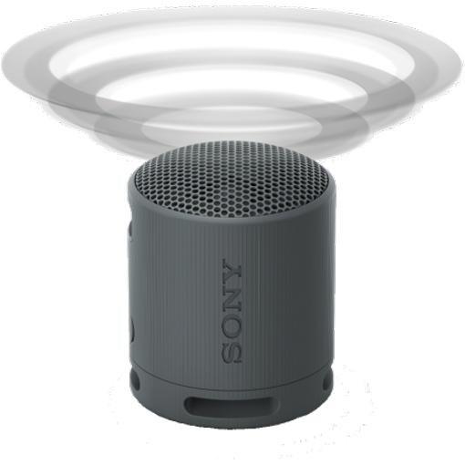 Large Picture of Sony SRSXB100B