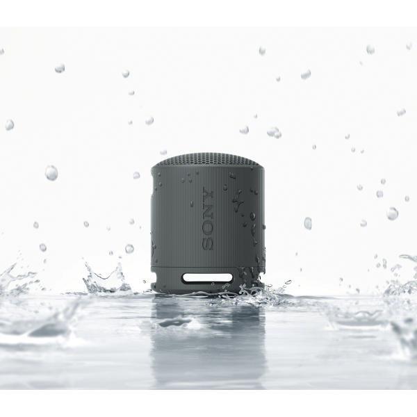 Large Picture of Sony SRSXB100B