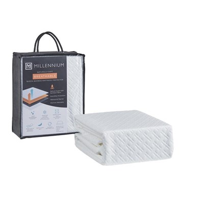 Ashley Sleep Basic Protector M30803 Queen Mattress Protector