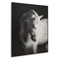 Signature Design by Ashley Archerwick A8000409 Wall Art (Home Decor - Wall Art)