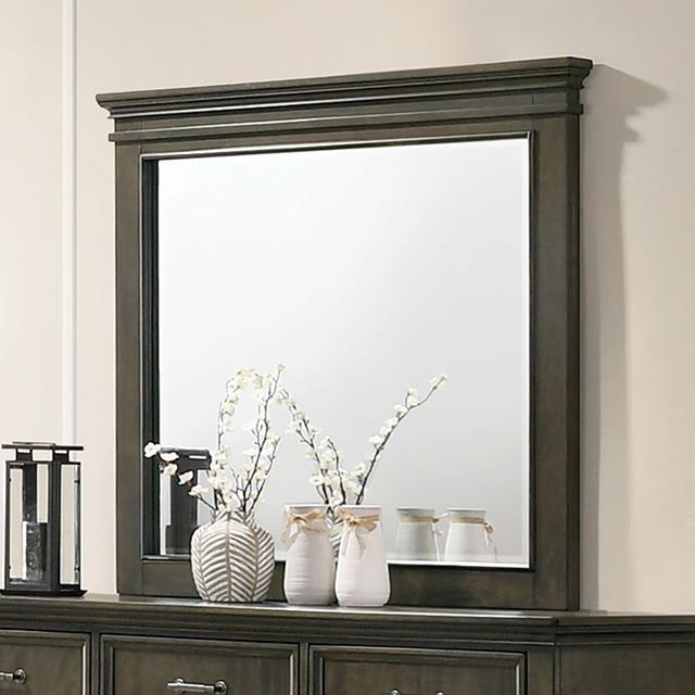 Furniture of America Houston CM7221GY-M Mirror