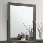 Furniture of America Alison CM7416GY-M Mirror